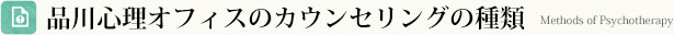品川心理オフィスのカウンセリングの種類